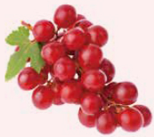 REVI ルヴィ ブドウ幹細胞